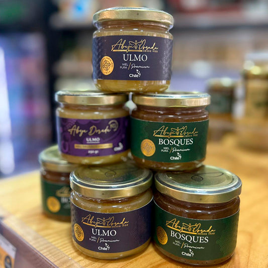 Miel Premium Bosque 250 Grs | ABEJA DORADA