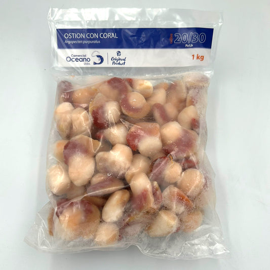 Ostion con coral 1 kg | OCEANO